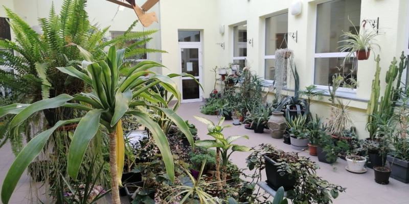 Mācību gada noslēgums: 